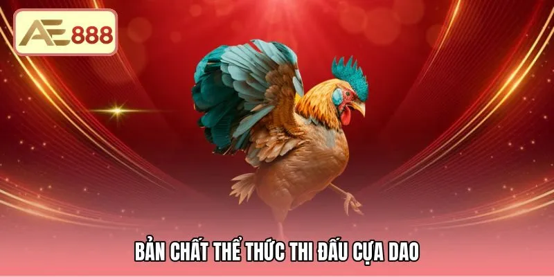 Lưỡi dao mỏng dẹt cùng nhịp độ giao tranh chớp nhoáng