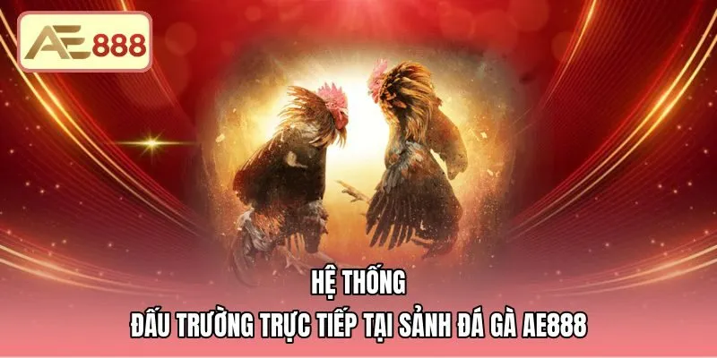 Trực tiếp đá gà AE888 từ các bồ Thomo chuẩn quốc tế