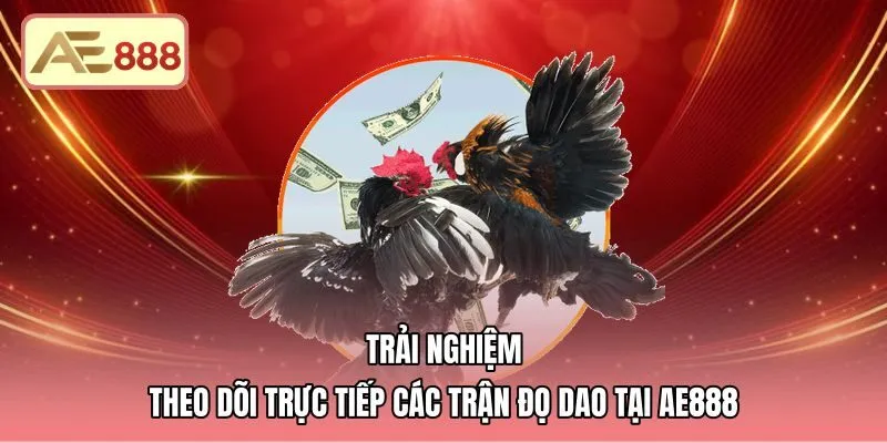 Luồng phát trực tiếp Full HD cùng bảng đối đầu trực quan